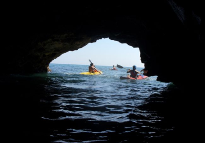 Agenzia/operatore Turistico Escursioni In Kayak